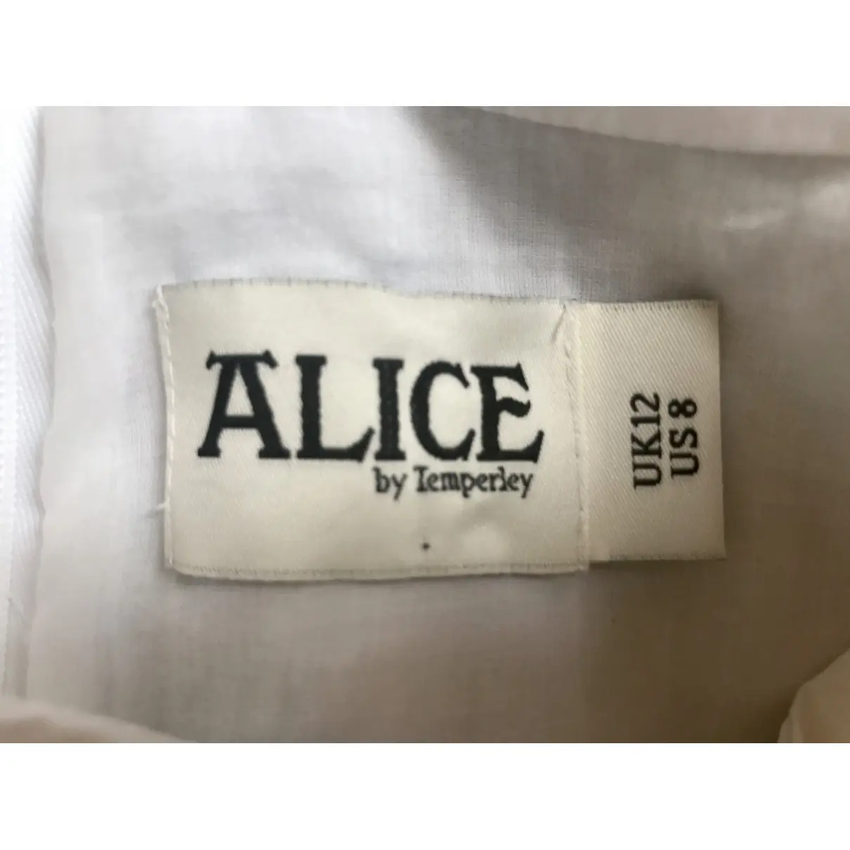 Buy Alice by Temperley Maxi skirt online