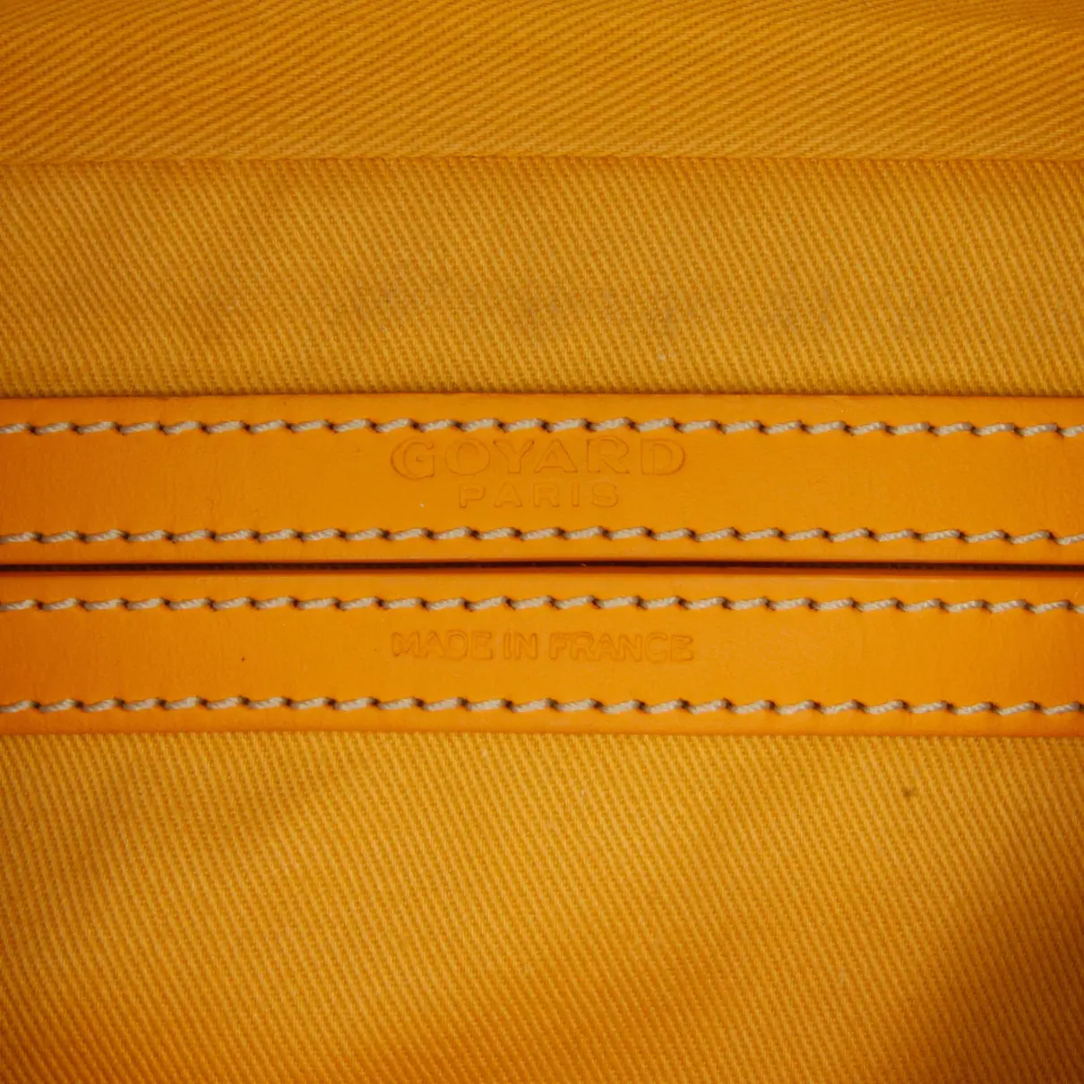 Cap vert leather crossbody bag Goyard