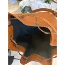 Noé glitter handbag Louis Vuitton