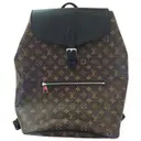 Brown Leather Bag Louis Vuitton