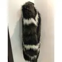 Raccoon coat Rizal