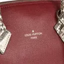 Buy Louis Vuitton Cléry pony-style calfskin handbag online