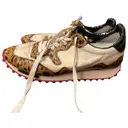 Starland trainers Golden Goose