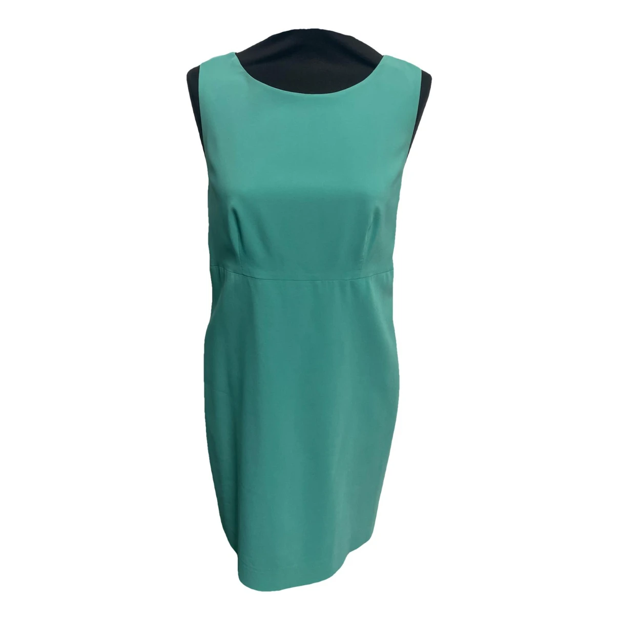 Pre-owned Luisa Spagnoli Mid-length Dress In Green