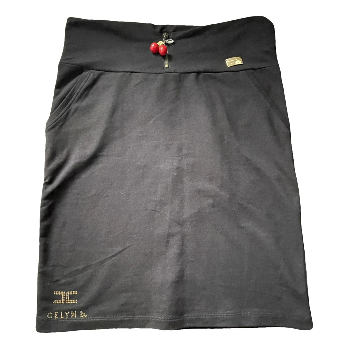 Pre-owned Elisabetta Franchi Skirt In Black