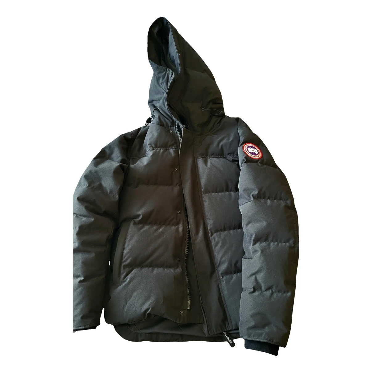 Pre-owned Canada Goose Puffer In Other