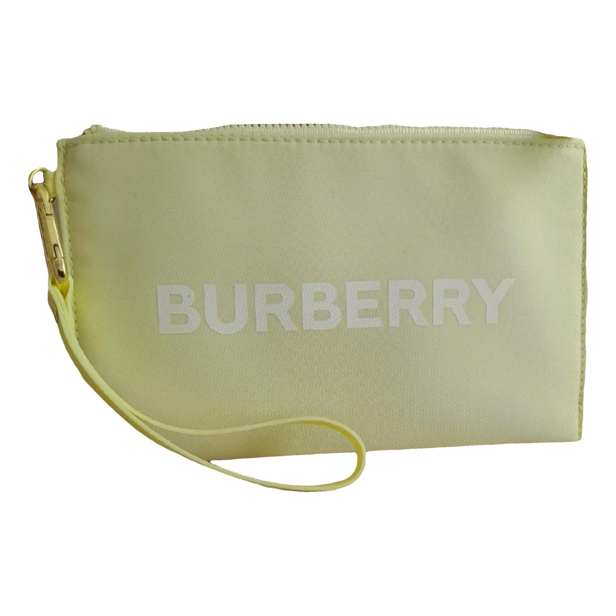 Pre-owned Burberry Vanity Case In Green