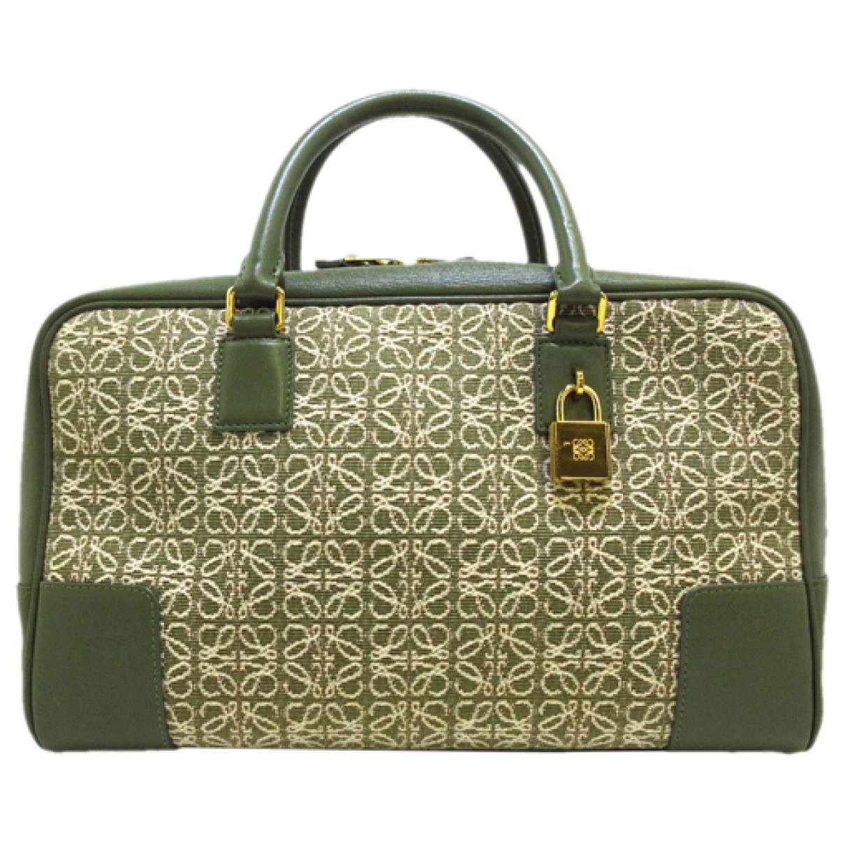 Pre-owned Loewe Amazona Handbag In Green