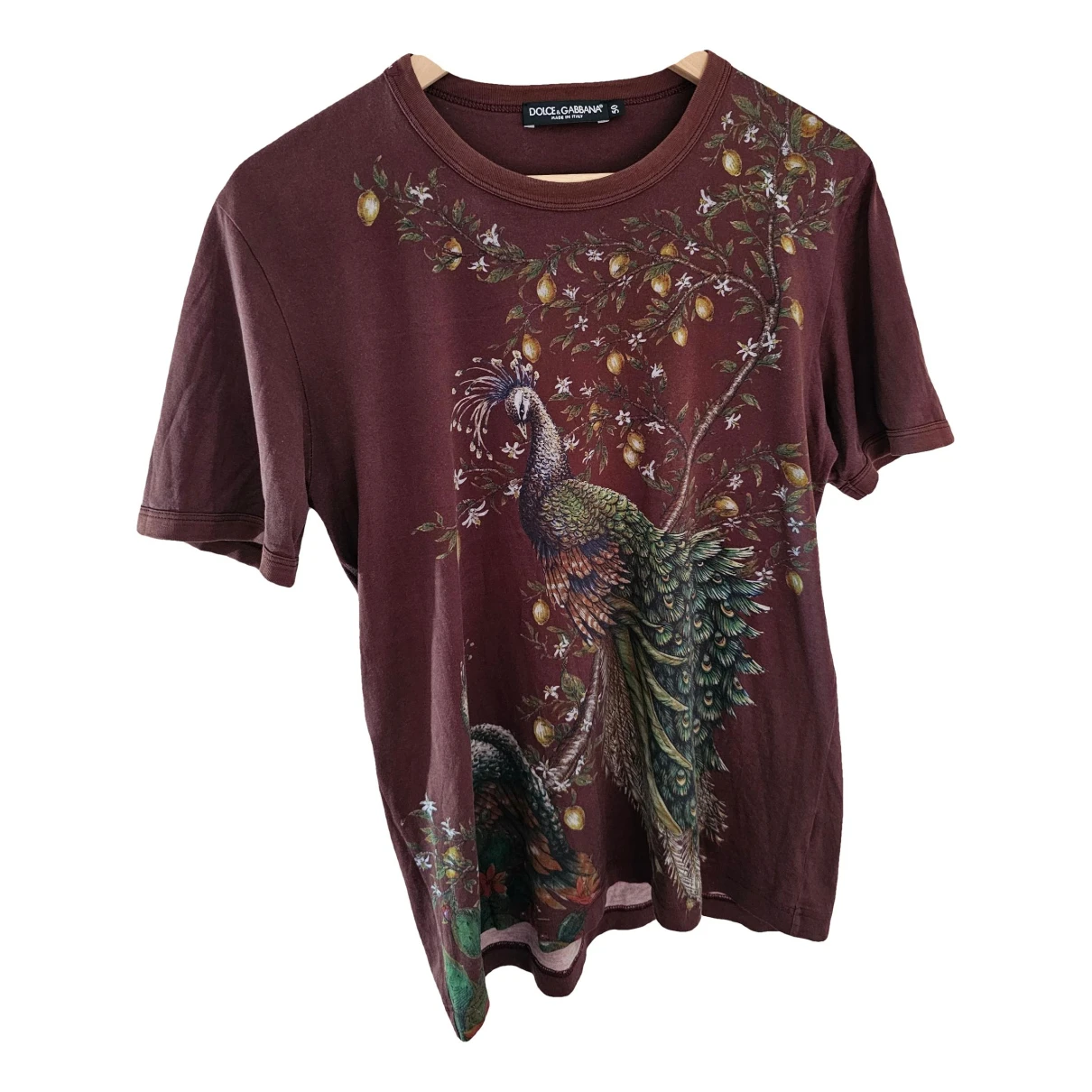 Pre-owned Dolce & Gabbana T-shirt In Brown