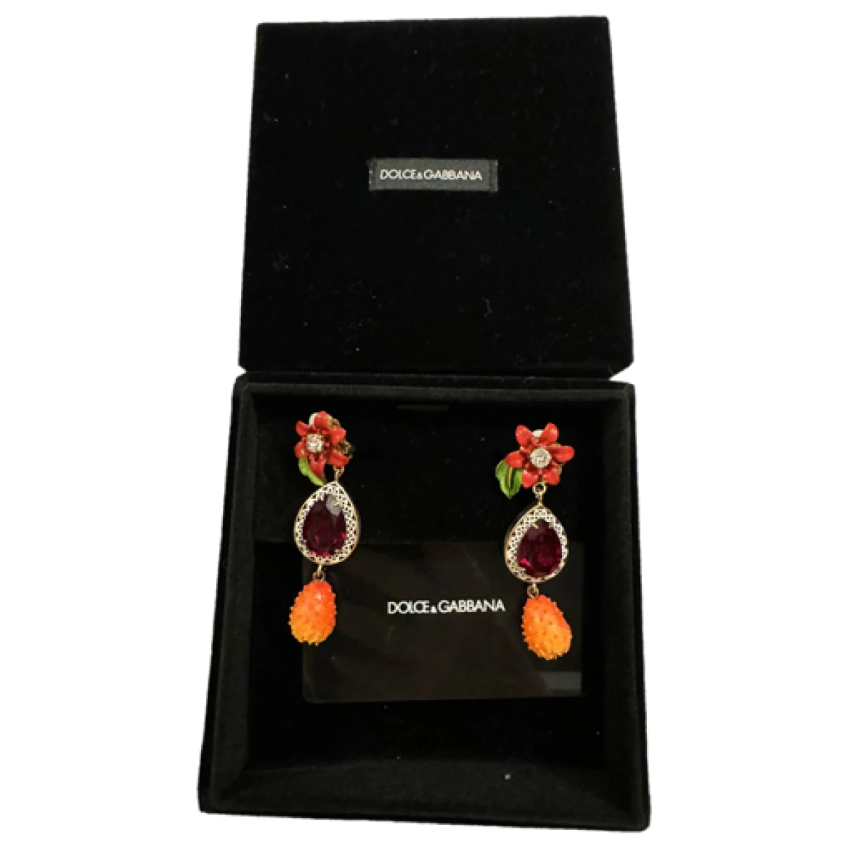 Pre-owned Dolce & Gabbana Earrings In Multicolour