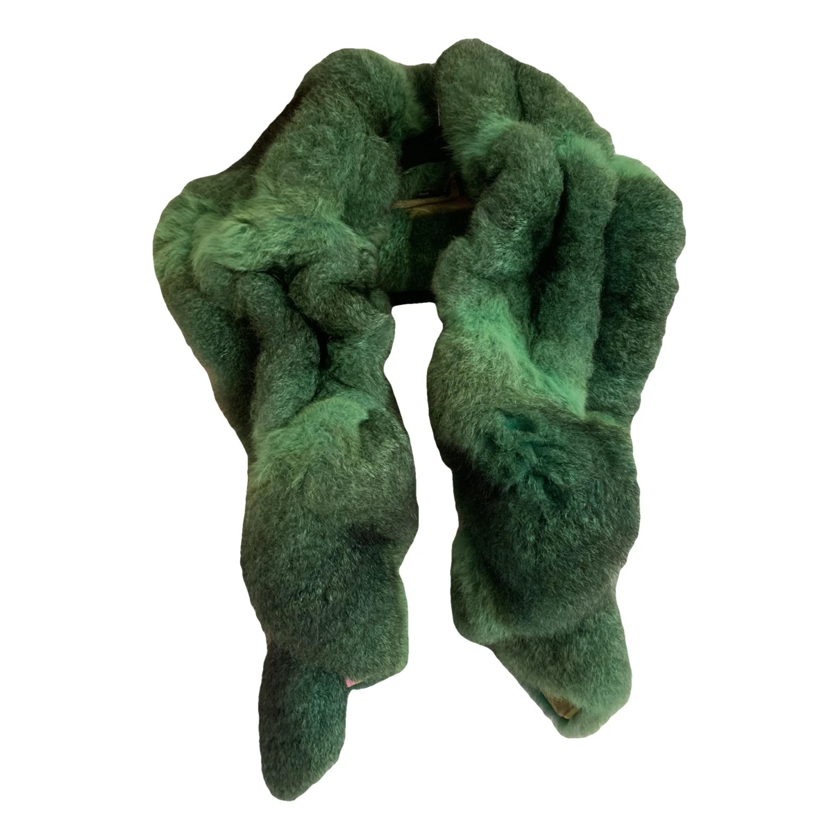 Pre-owned Etro Mink Scarf In Green
