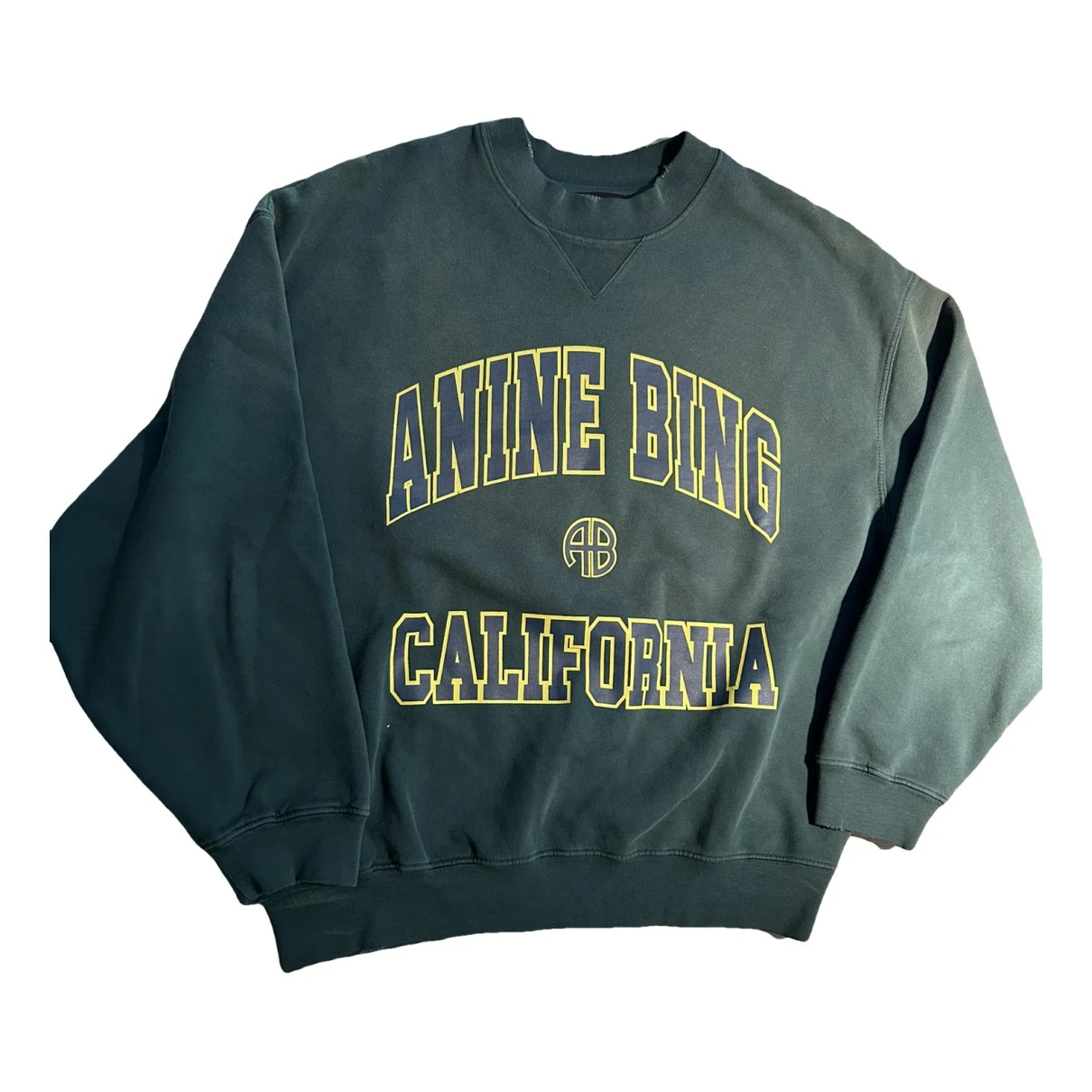 Pre-owned Anine Bing Sweatshirt In Green