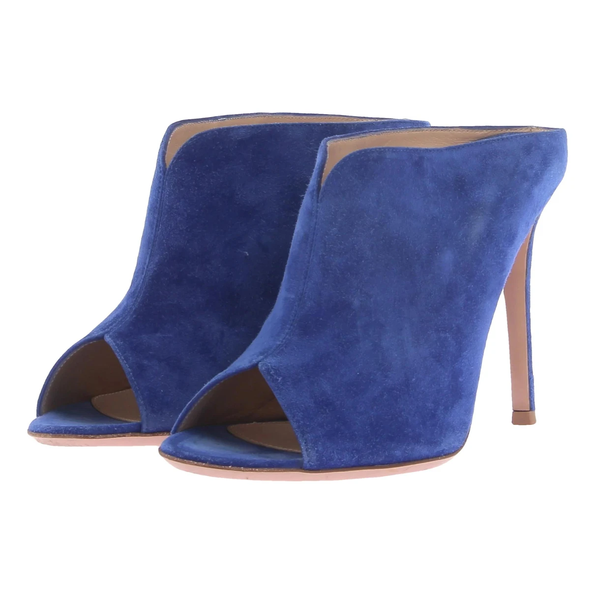 Pre-owned Gianvito Rossi Mules & Clogs In Blue
