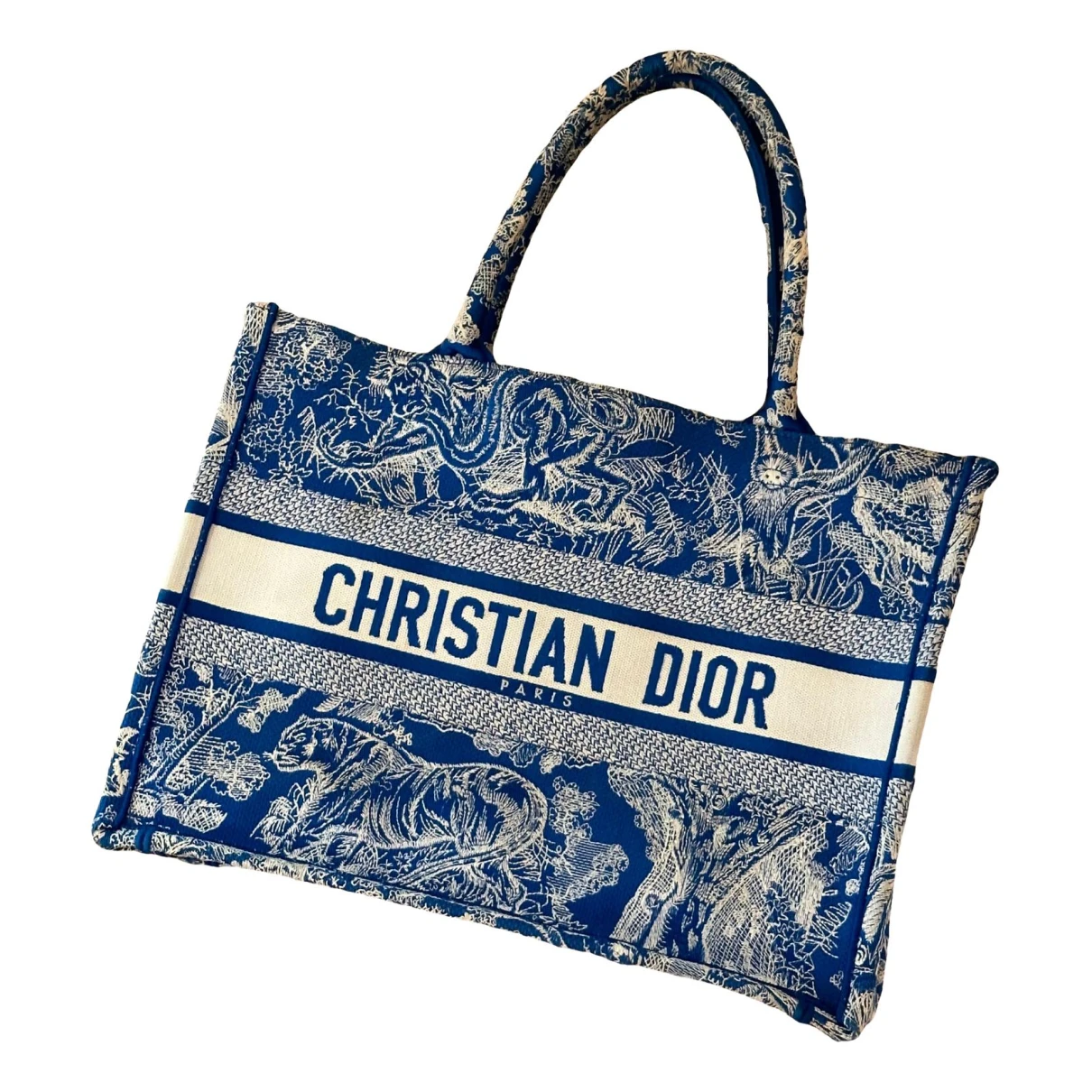 Pre-owned Dior Book Tote Cloth Tote In Blue