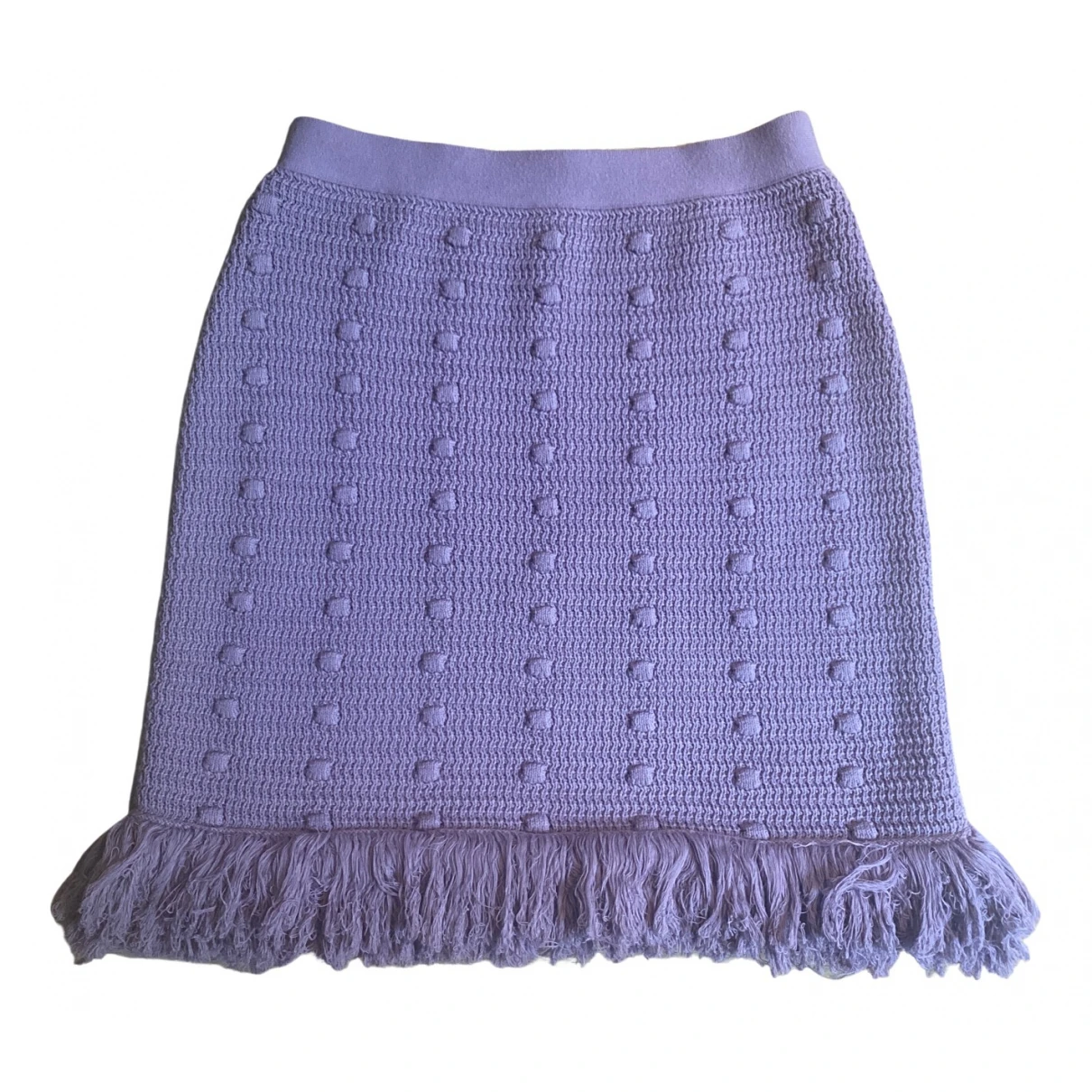 Pre-owned Bottega Veneta Mini Skirt In Purple