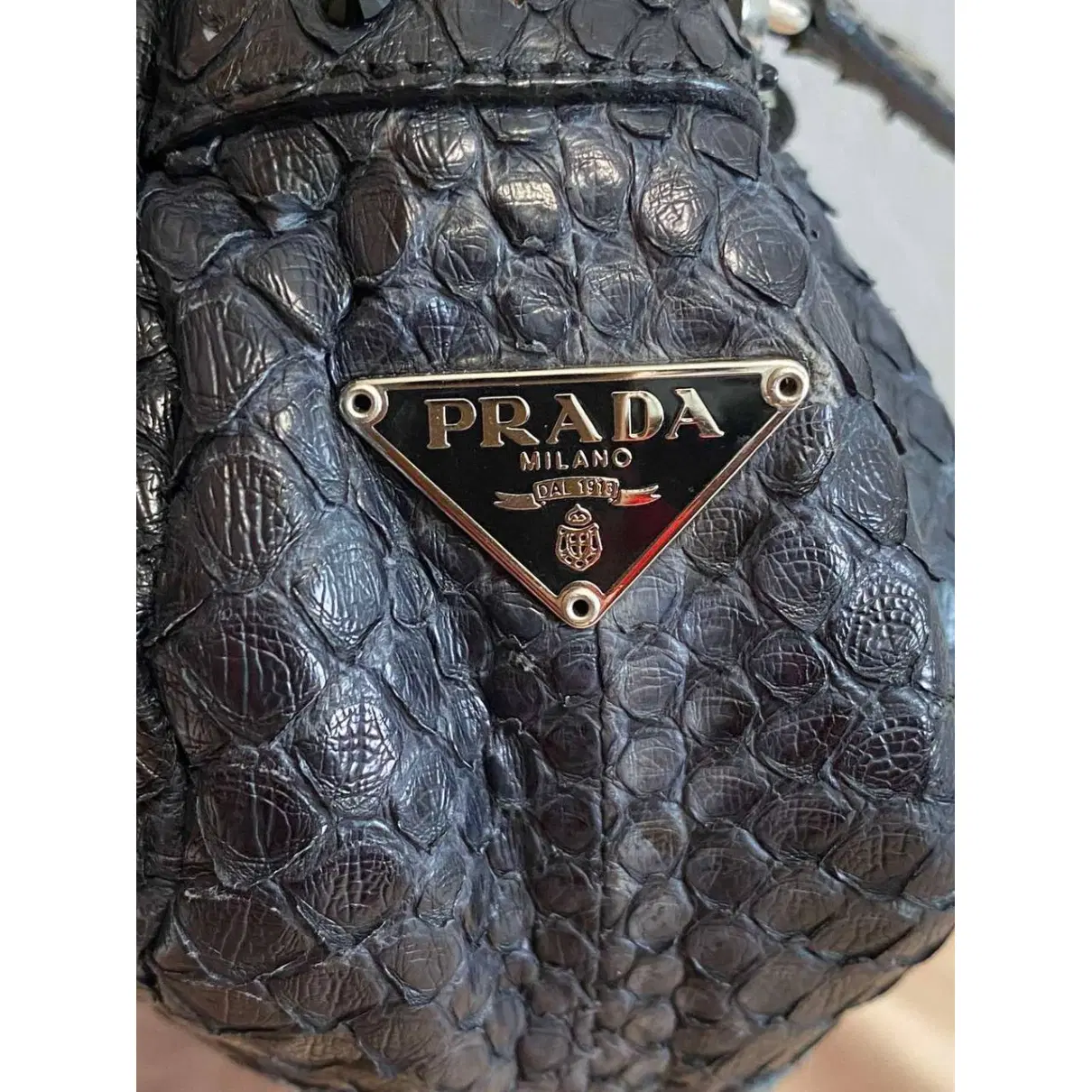 Buy Prada Python handbag online