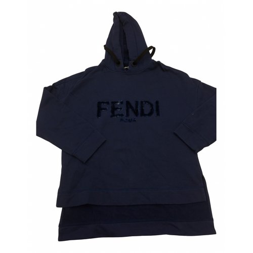 Pre-owned Fendi Knitwear In Blue