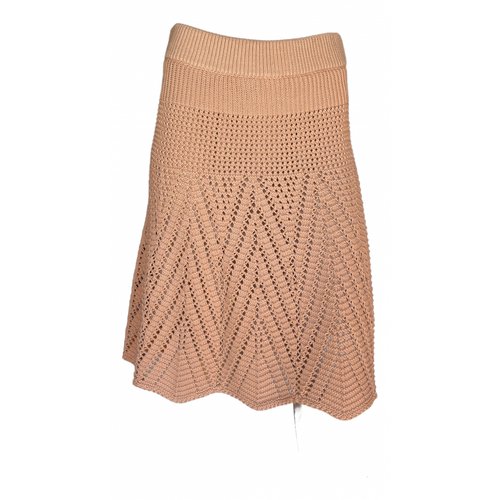 Pre-owned Chloé Mid-length Skirt In Pink